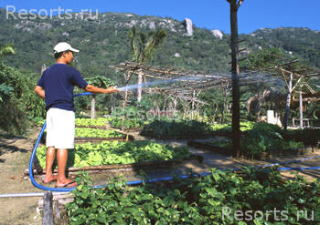 Six Senses Hideaway Ninh Van Bay 42